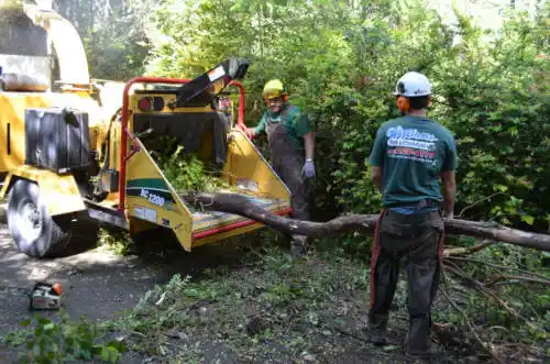 tree services McDonald Chapel